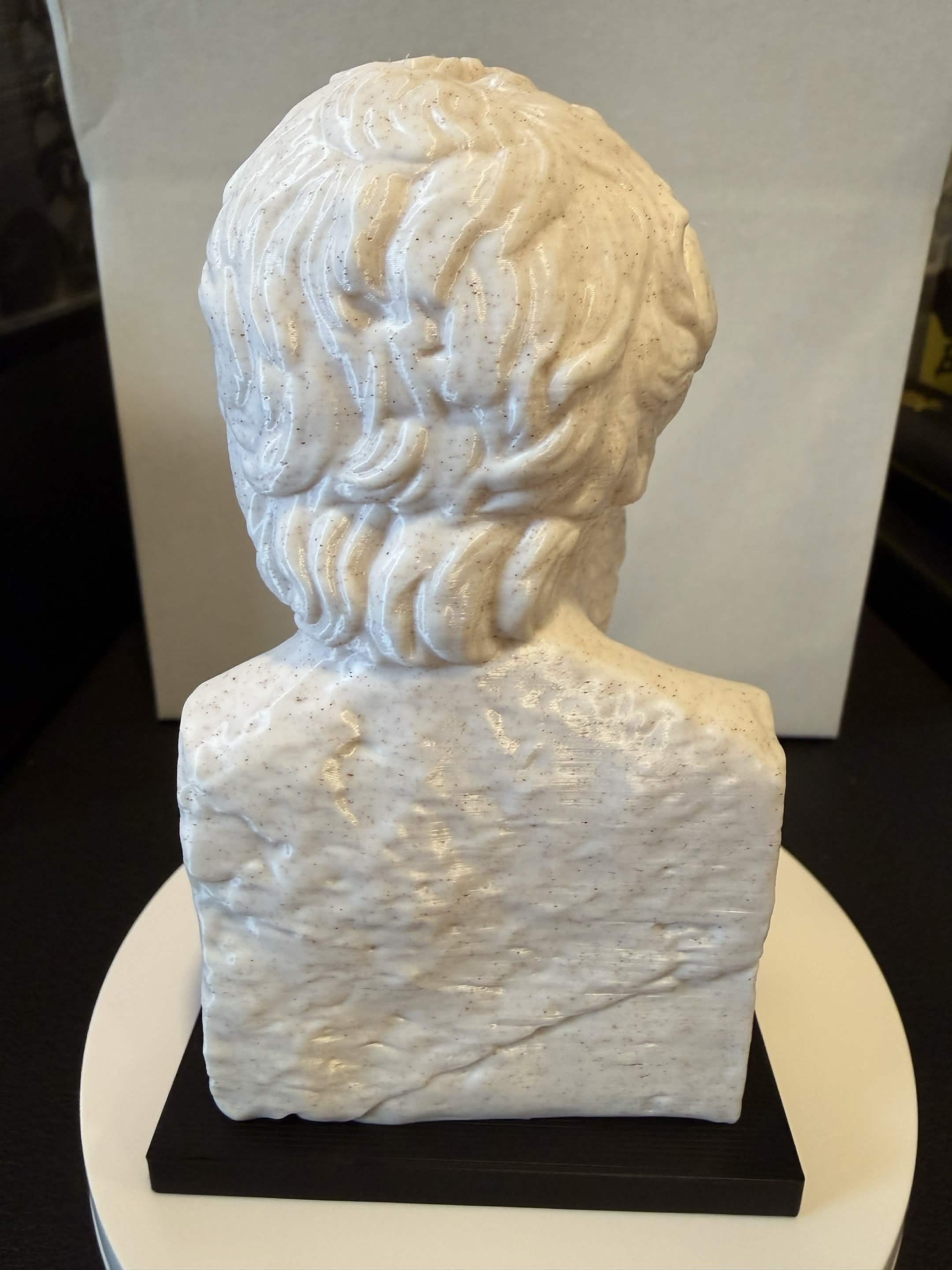Herodotus Bust Replica | 3D Printed Greek Historian Desk Decor